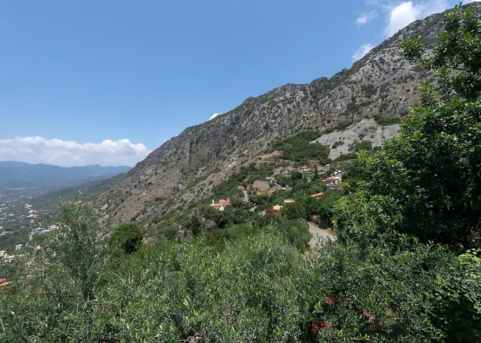 Traditional Stonehouse Verga * 칼라마타